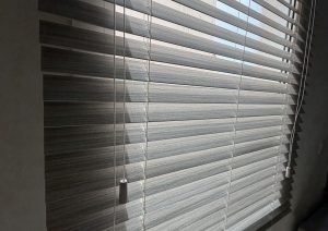 IMG_6075_w1